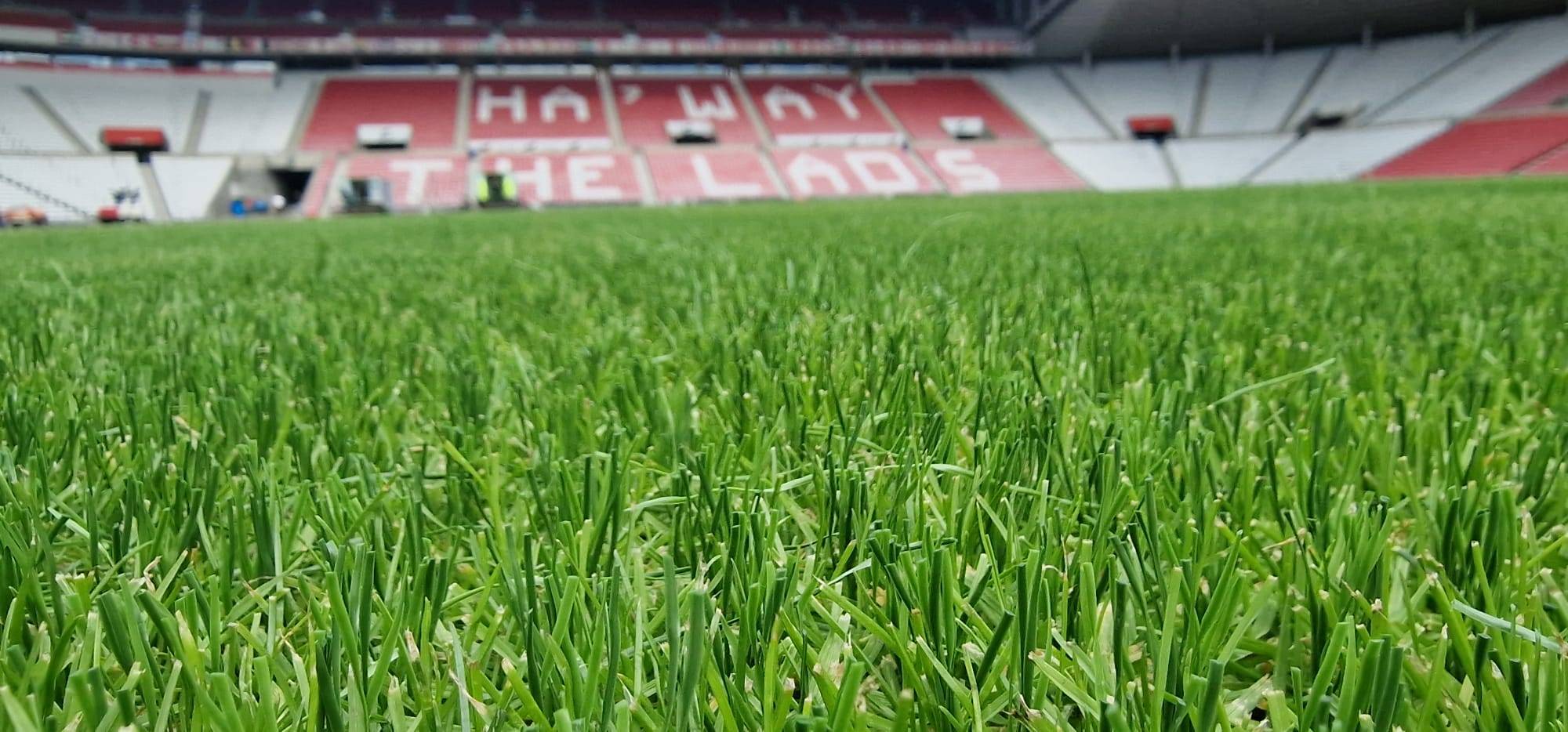 Professional hybrid football pitch viewed at grass level inside a stadium